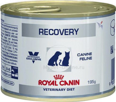 Корм для кошек и собак Royal Canin Recovery 195г (упаковка 6 шт.)